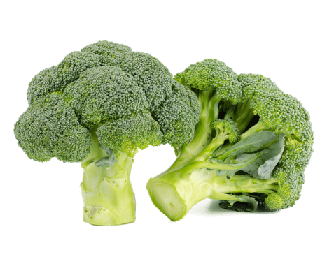 Fresh Broccoli 2 pack - pre order only