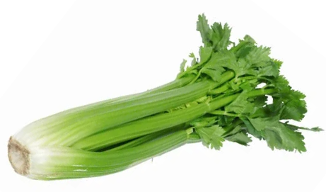 Fresh Celery bunch