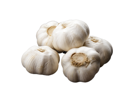 Fresh Garlic Bulb ea - pre order only