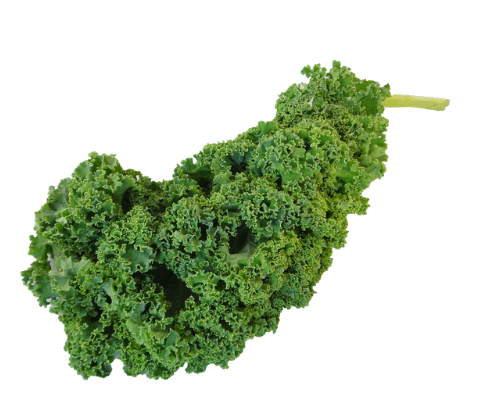 Fresh Kale bunch - pre order only