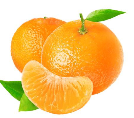 Fresh Mandarins /kg