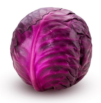 Fresh Cabbage Red ea - pre order only