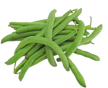 Fresh Beans Stringless /kg