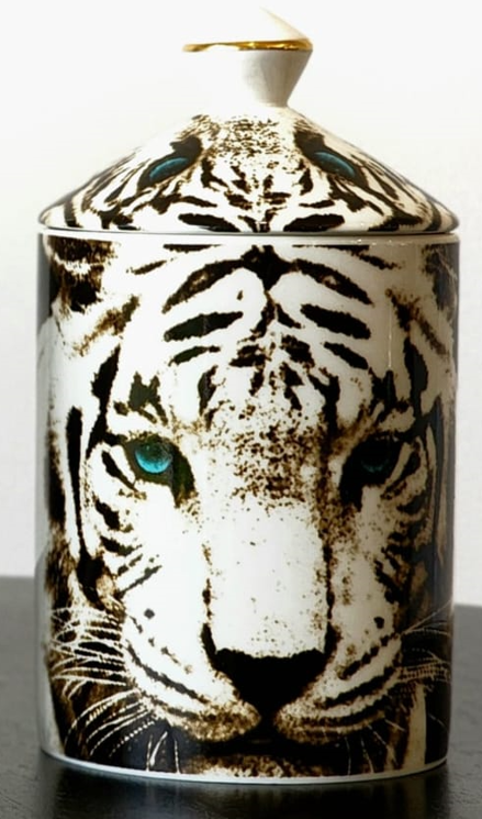 Tiger Tempo Candle