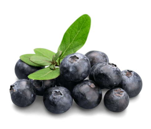 Fresh Blueberries punnet - pre order only