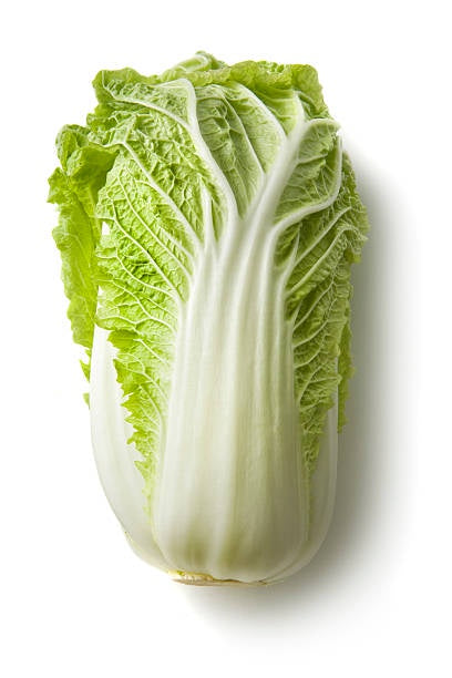 Fresh Cabbage Chinese ea - pre order only