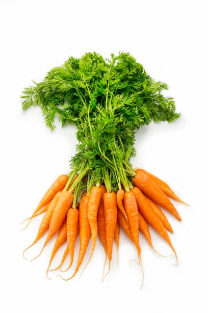 Fresh Carrots Dutch bunch