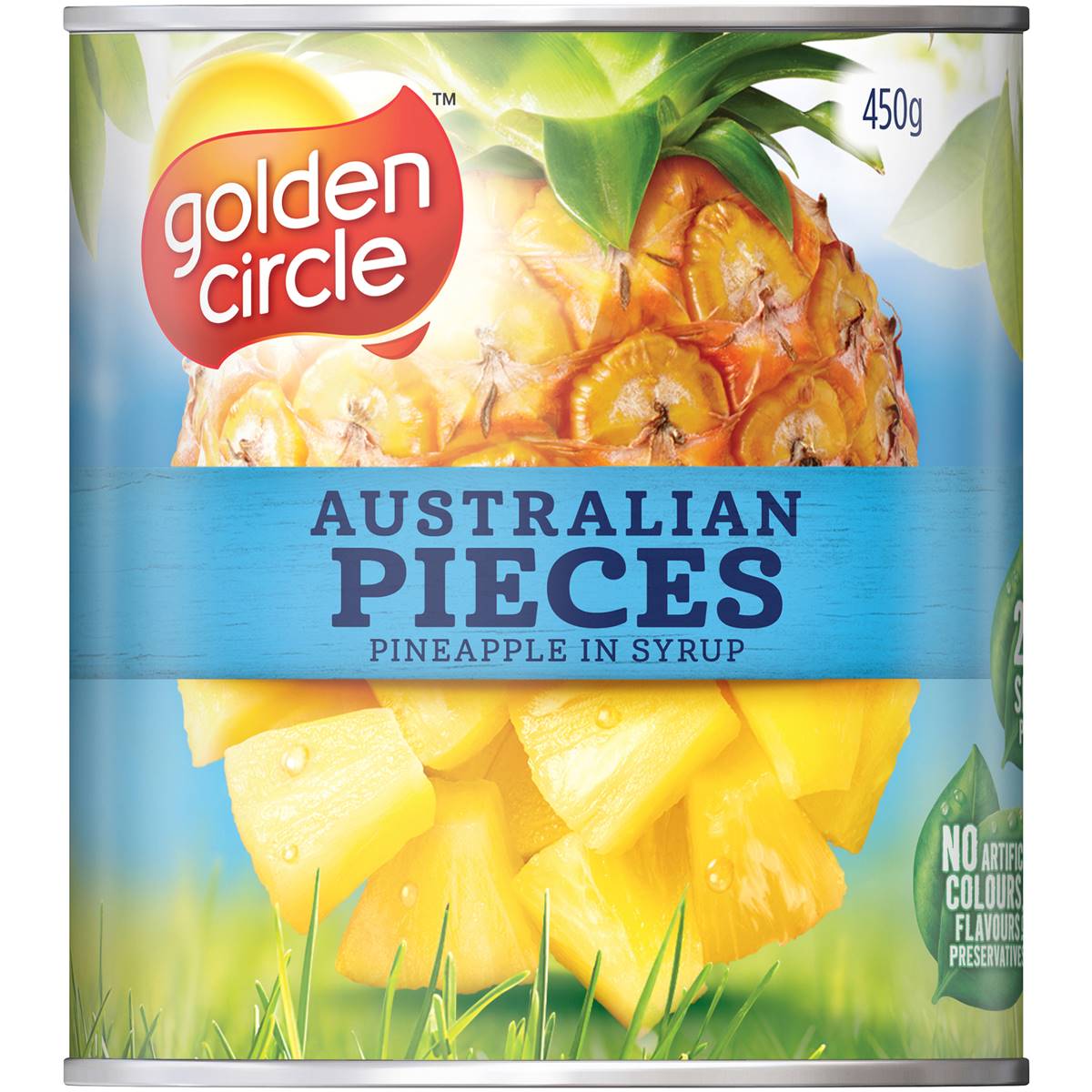 DO NOT ORDER Golden Circle Pineapple Pieces 450g