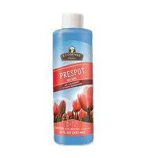 Prespot Stain Remover Concentrate 237mL