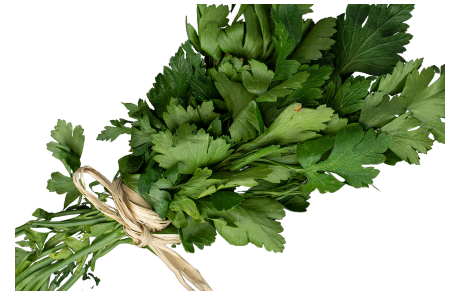 Herb Fresh Italian Parsley Lrg Bunch