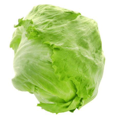 Fresh Lettuce Iceberg ea