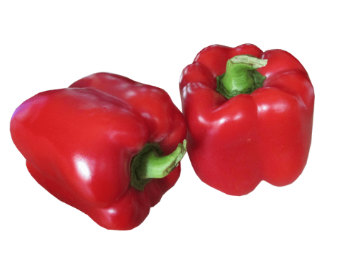 Fresh Capsicum Red ea