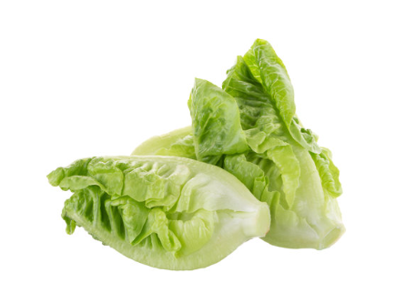 Fresh Lettuce Baby Cos 2 pack