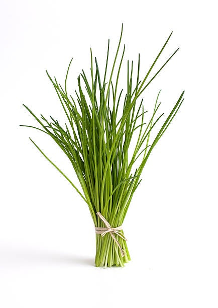 Herb Fresh Chives Bunch - pre order only