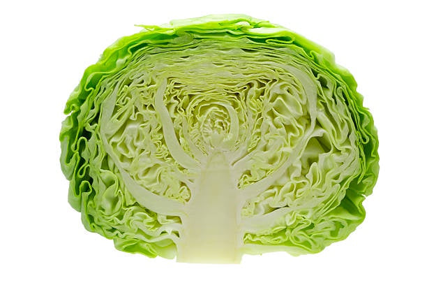 Fresh Cabbage Green Half