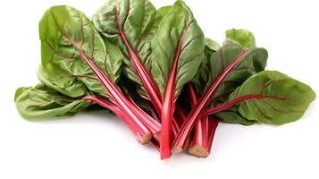 Fresh Rhubarb /kg - pre order only